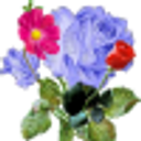 Image du produit Fleurs et plantes