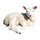 Image du produit Viande d'agneau bio