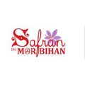 Logo de Safran du Morbihan