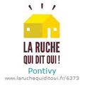 Logo de La Ruche qui dit oui Pontivy