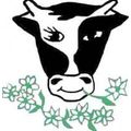 Logo de Fromagerie fermière de juchy