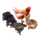 Image du produit Lapin poulet pintade canard caille oie