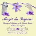 Logo de Mazet du Peyroux