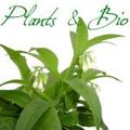 Logo de Plants & Bio