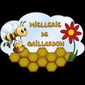 Logo de MIELLERIE DE GAILLARDON