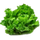 Image du produit Salade Grenobloise