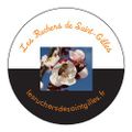 Logo de Marine Lyot , "Les ruchers de saint gilles"