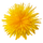 Image du produit Confiture de fleur de pissenlits