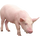 Image du produit Colis Standard - Viande de Porc Duroc