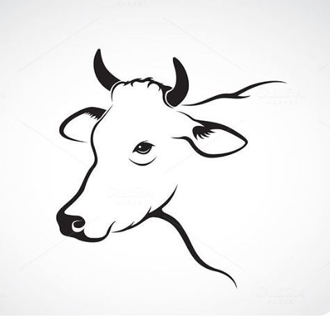 Le logo de Yvan Trapp